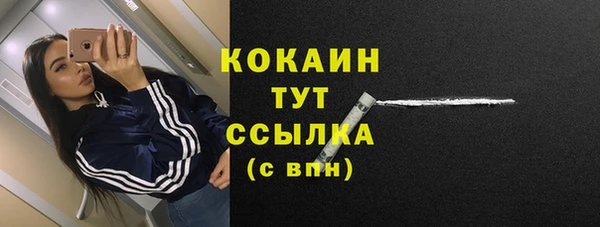 молекула духа Белоозёрский