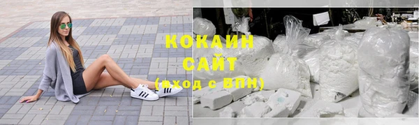 гашик Белокуриха
