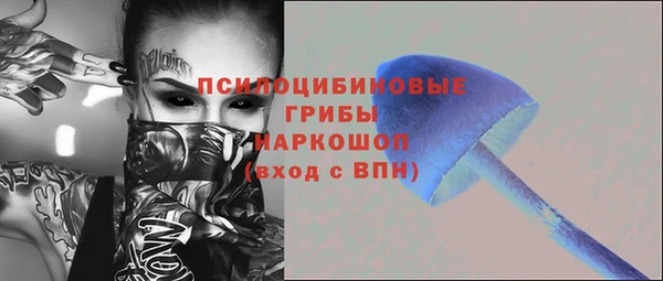молекула духа Белоозёрский