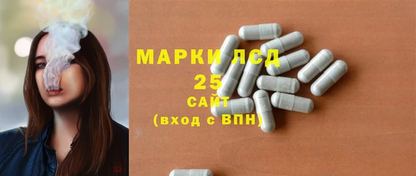 гашик Белокуриха