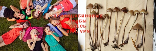 гашик Белокуриха