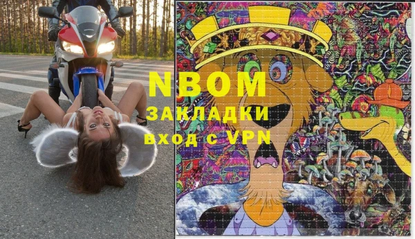молекула духа Белоозёрский