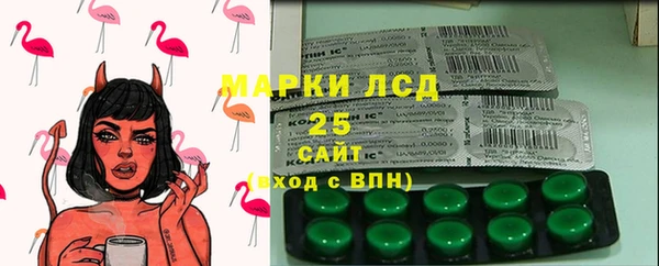 гашик Белокуриха