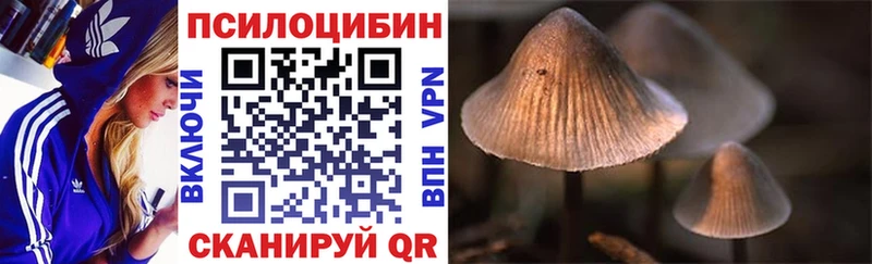 закладки  Оха  Галлюциногенные грибы GOLDEN TEACHER 